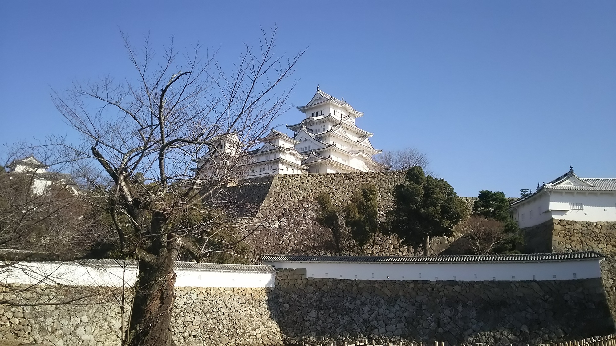 元旦の青空の下にそびえる姫路城の風景（電車で行く日本100名城ガイド）